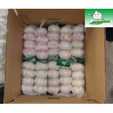Pure White Garlic of 500g/mesh bag with label